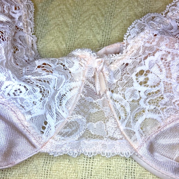 Nwt Cabernet Blush3-way convertible bra 38C - Picture 2 of 8